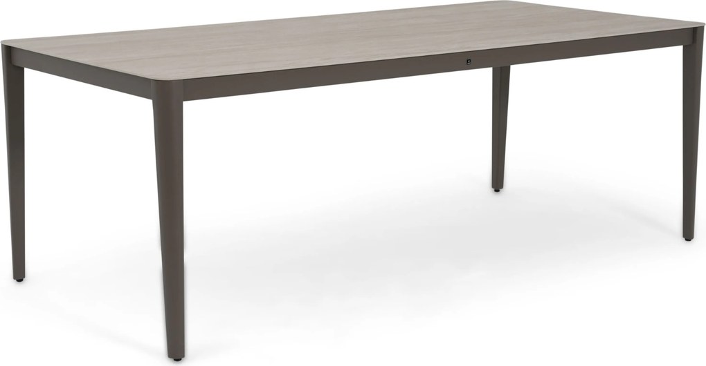 Dining Tuintafel rechthoekig 210x100 cm Taupe Livo