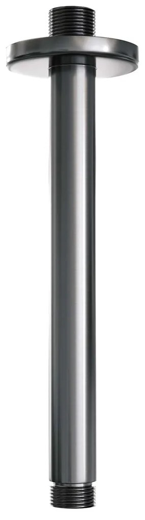 Brauer Stripe inbouw regendouche met 25cm hoofddouche, met plafondarm, glijstang en staafhanddouche set 21 gunmetal geborsteld PVD