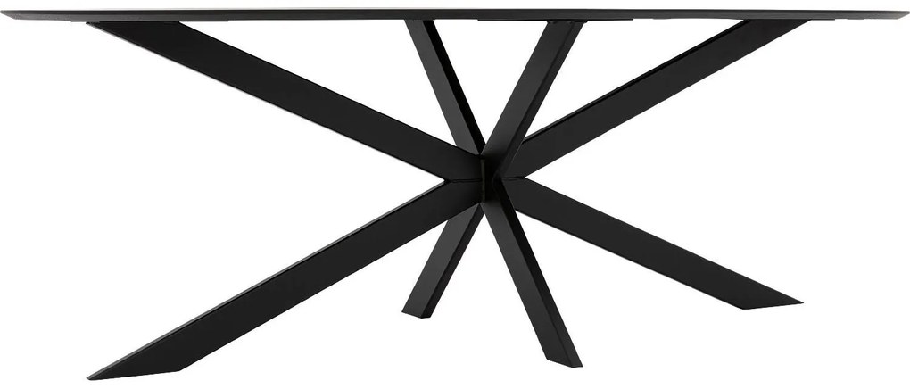 Goossens Excellent Eettafel Uniek, Semi rond 260 x 100 cm