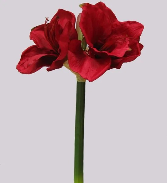 Amaryllis - zijden bloem - rood - topkwaliteit zijde bloemen