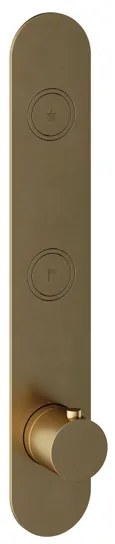 Hotbath Cobber afbouwdeel inbouwthermostaat met 2 pushbuttons verticale plaatsing geborsteld messing (goud) PB066EXTBB