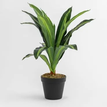 Decoratieve Kunstplant ↑40 Cm Dracaena ↑40 Cm - Sklum