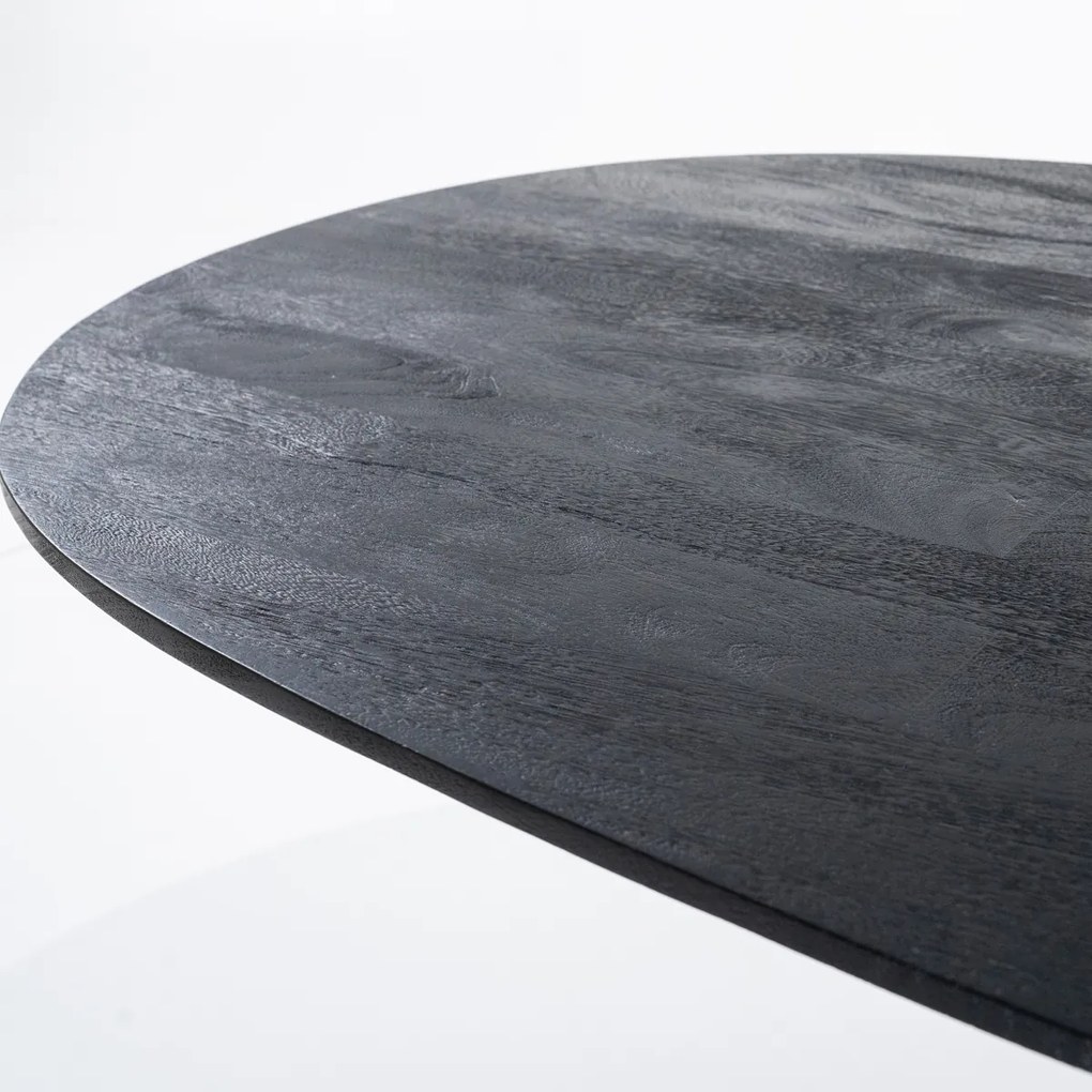 Eettafel Ovaal Zwart 300 Cm - 300 X 110cm.