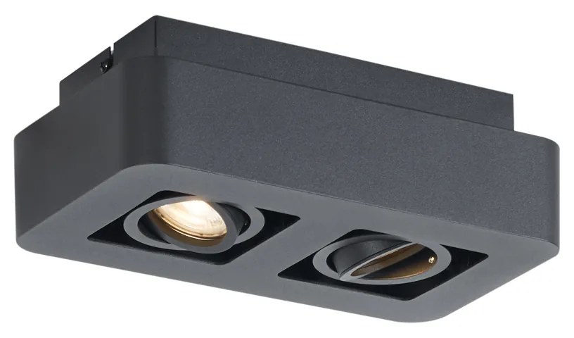 Afgeronde opbouwspot zwart 2-lichts draai- en kantelbaar - Dox