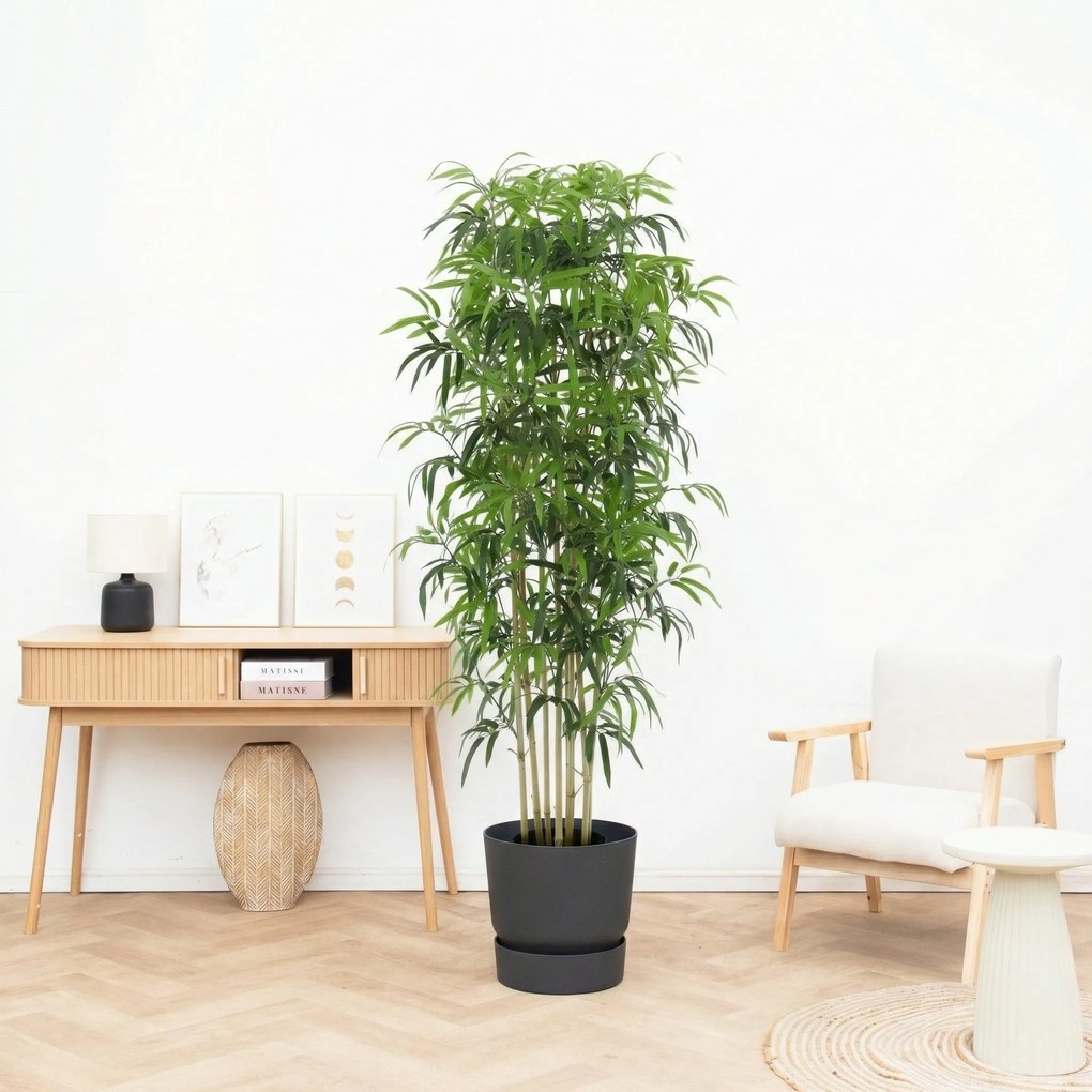 Kunst Bamboe - 150cm