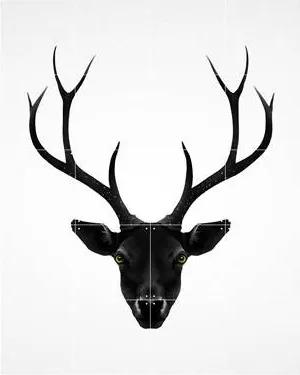Deer Black & White Wandsysteem 100 x 80 cm