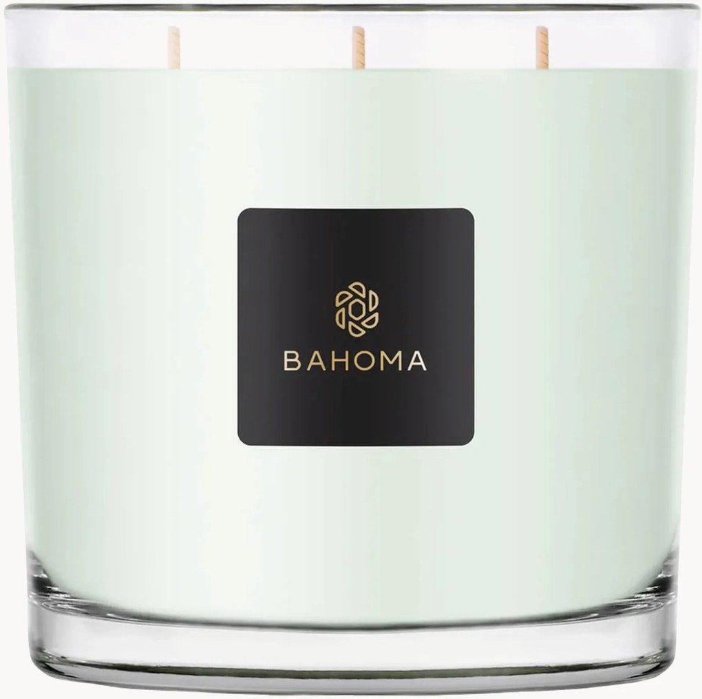 XXL kaars in een doos (primula & amberhout)