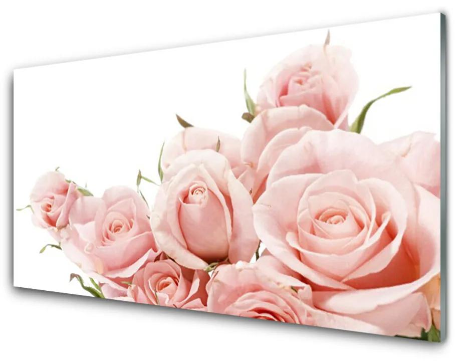 Glas schilderij Rozen bloemen plant 100x50 cm