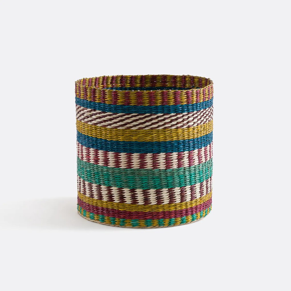 Veelkleurige mand in herbarium, Balia