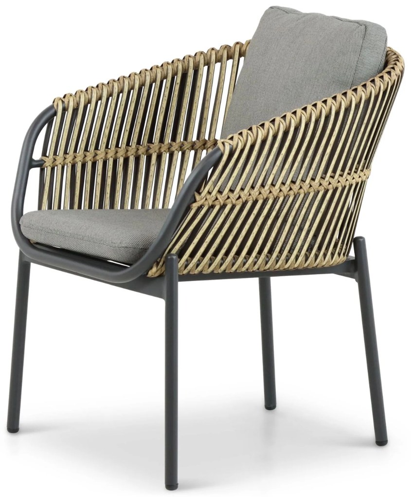 Tuinset 4 personen 180 cm Aluminium/wicker Taupe Coco Nathan/Vienna