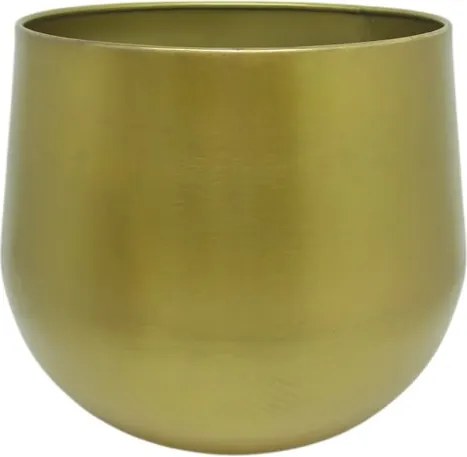 Pot Lara Gold