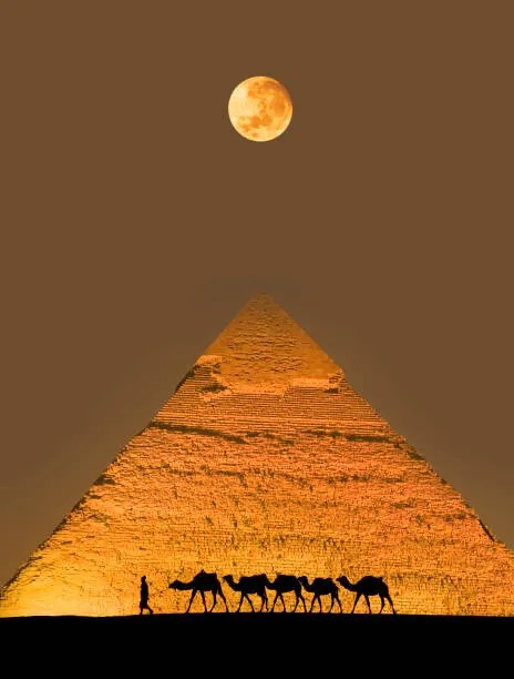 Foto Camel train and pyramid, Grant Faint