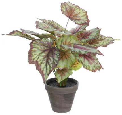 Kunstplant Begonia (h40 cm)