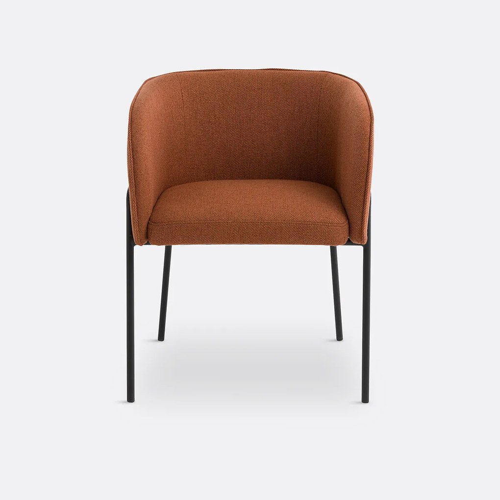 Fauteuil, Laika