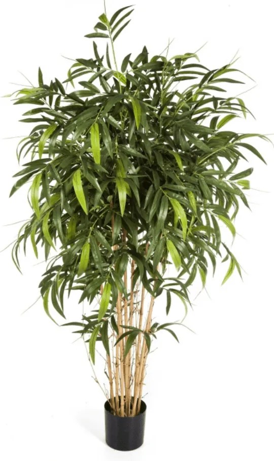 Kunst Bamboe New Naturel - 210 cm