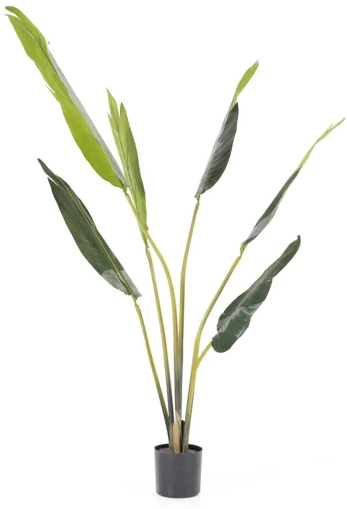 By-Boo Strelitzia Strelitzia Kunstplant Small 122 Cm