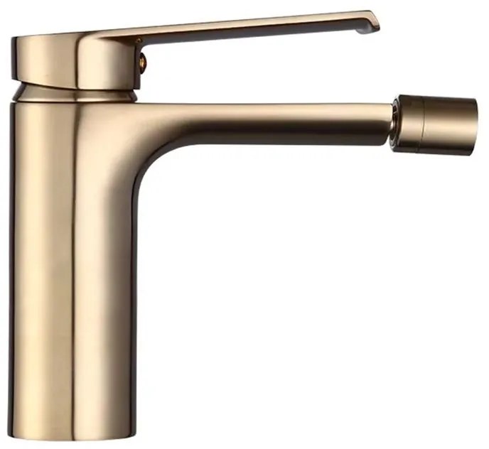 Bidetmengkraan Rea Hass Gold Brush