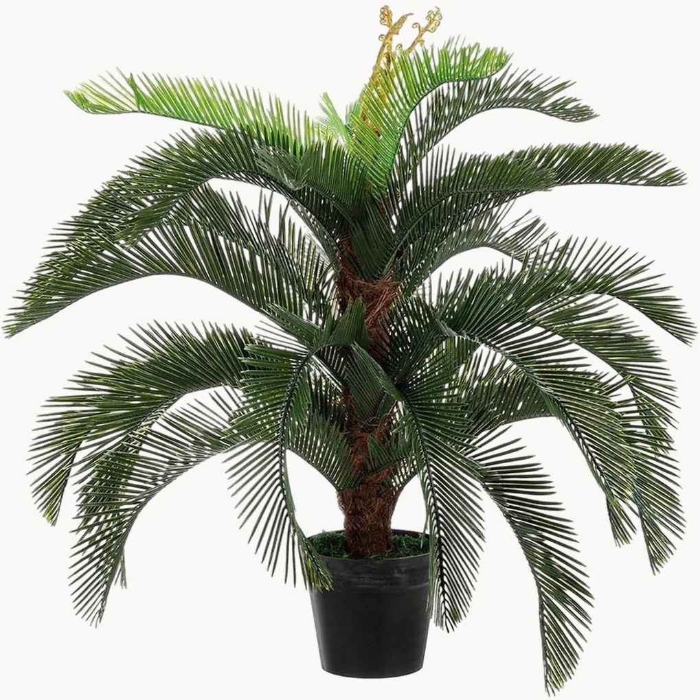 XL-kunstplant Palma Cycas