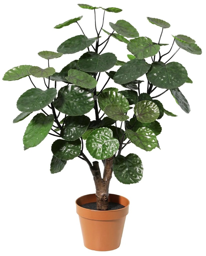 Kunst Polysicas Fabian - 55cm