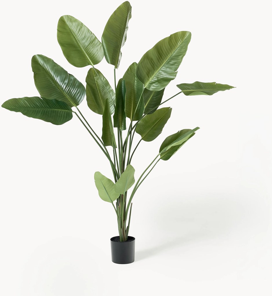 Kunstplant Traveller Palm