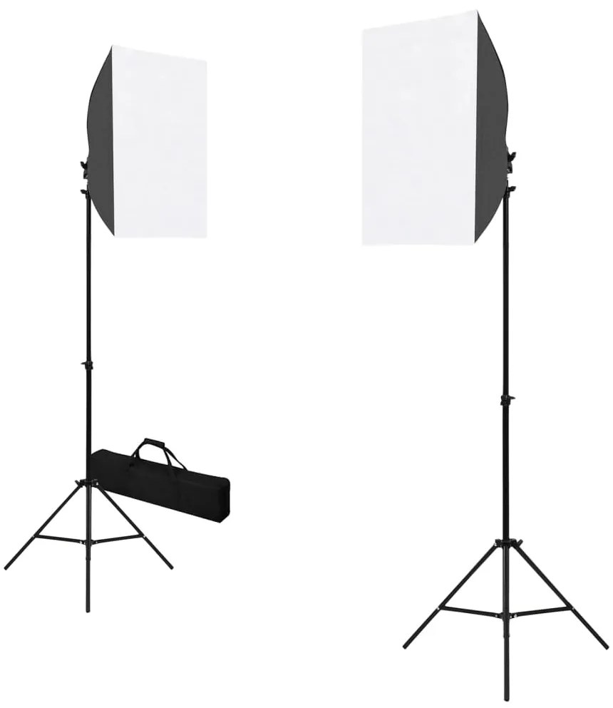 vidaXL Professionele studiolampen 2 st 40x60 cm staal zwart