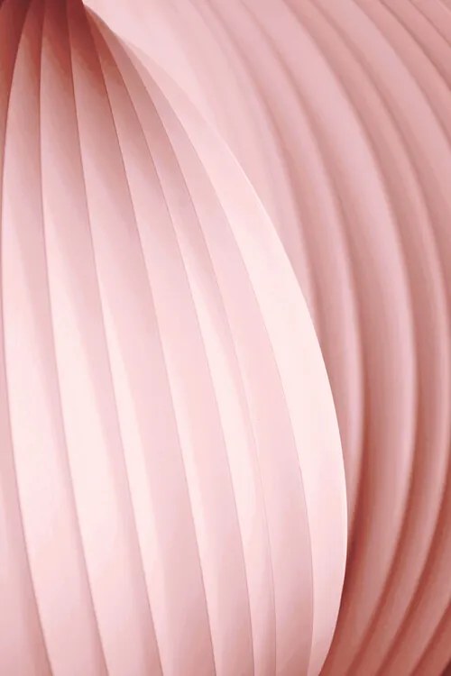 Foto Peach Pink, Christina Sillen