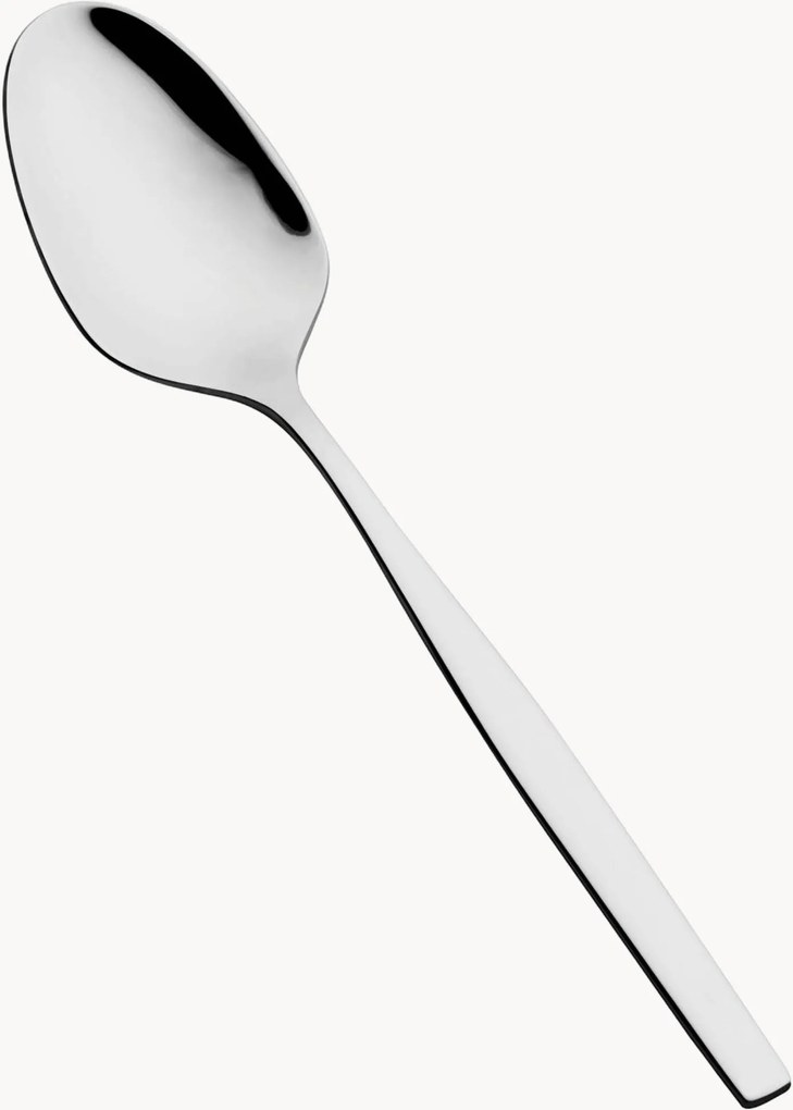 Hoogglans gepolijste theelepels Spa, 12-delig