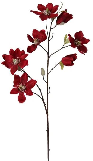 Magnolia Rood 75 cm
