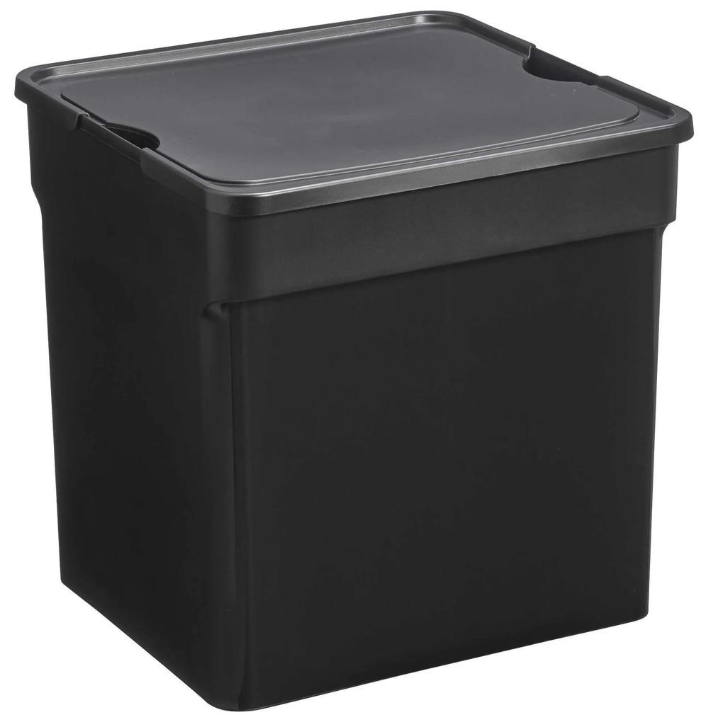 Opbergbox Met Deksel Zwart 32 Liter