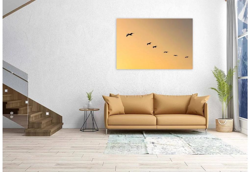 Goossens Schilderij Fly Bird, 148 x 98 cm