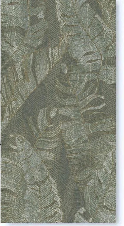 EDIZIONA Foresta Tropicale