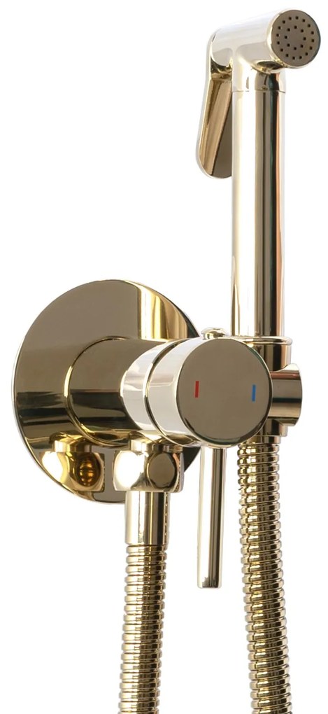 Inbouw Bidetmengkraan Rea Lungo Loop Gold