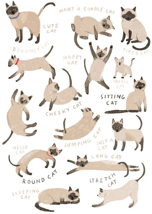 Ilustratie Siamese Cat Print, Hanna Melin