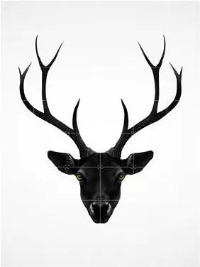 Deer Black & White Wandsysteem 160 x 120 cm