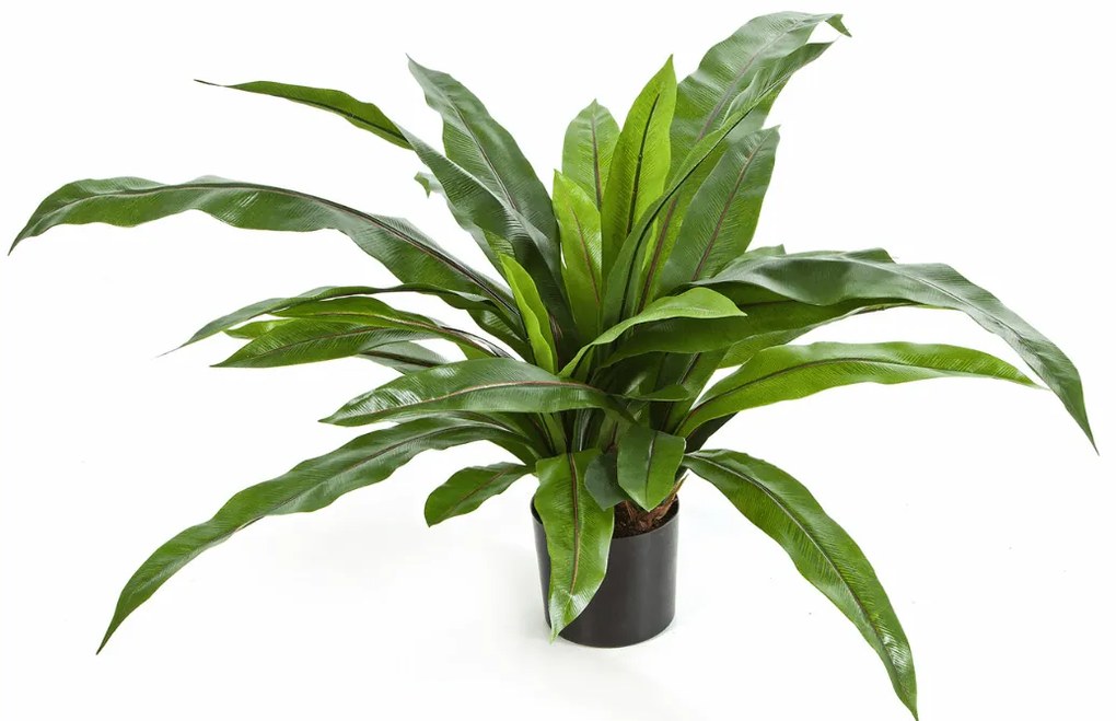Varen Asplenium kunstplant - 80 cm