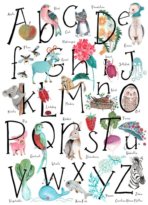 Ilustratie ABC illustration, Caroline Bonne Muller