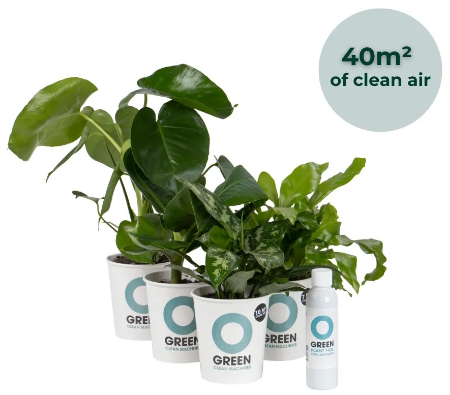 Ogreen - Indoor Jungle