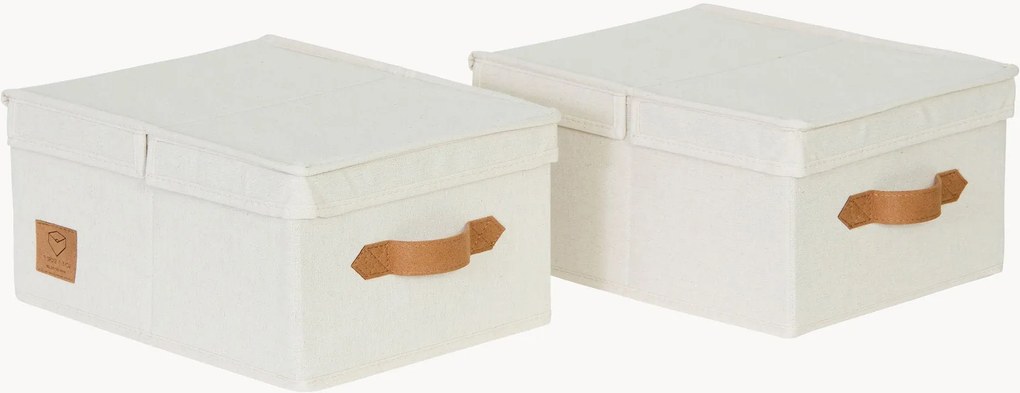 Opbergdozen Premium met deksel, set van 2