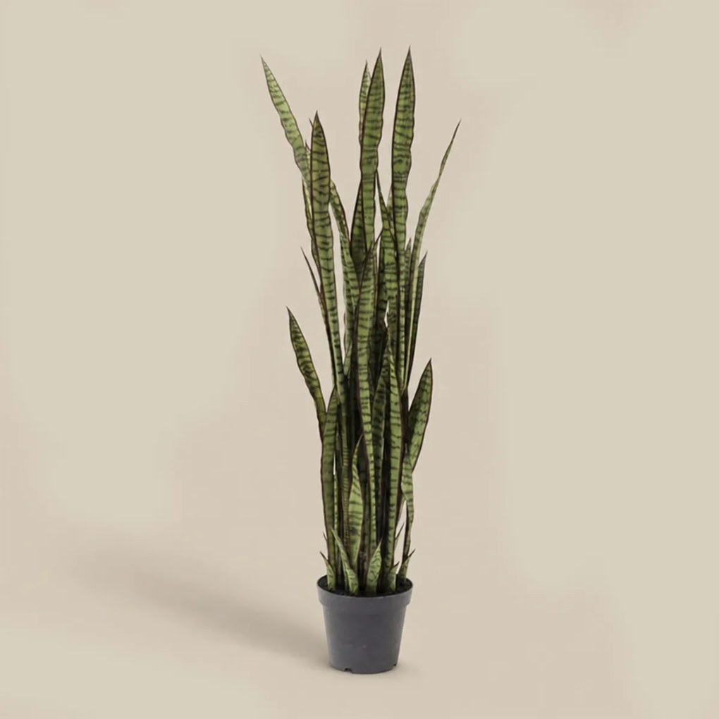 Deco Plant Vrouwentongen