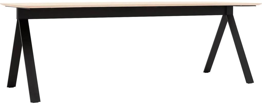 Goossens Excellent Eettafel Floyd, Semi rechthoekig 300 x 100 cm