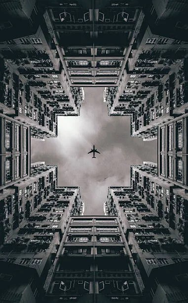 Foto Urban Jungle, andreknot