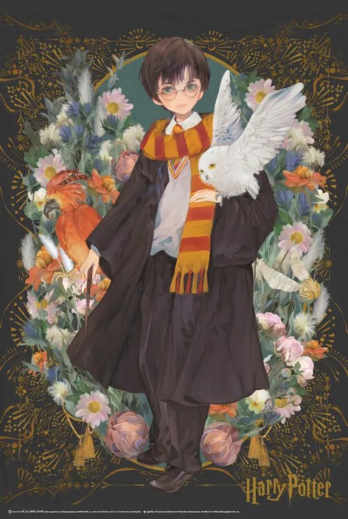 Poster Harry Potter - Yume