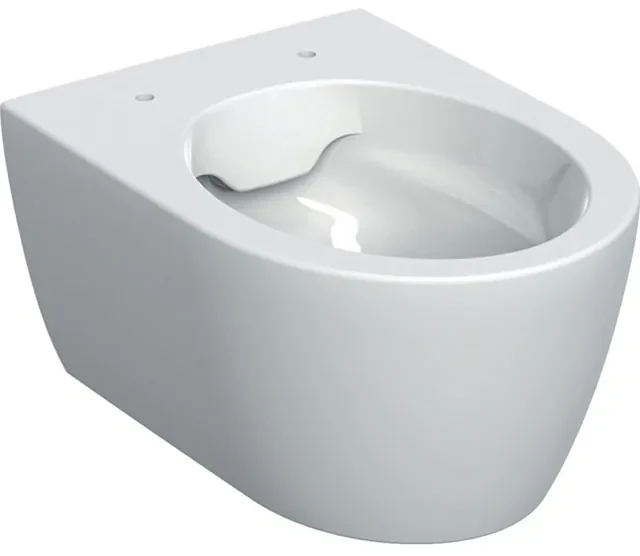 GeberitIconWandcloset-compact49cm-keratect-rimfree-wit502380008