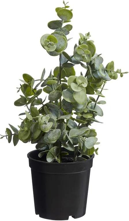 Kunstplant Eucalyptus Groen