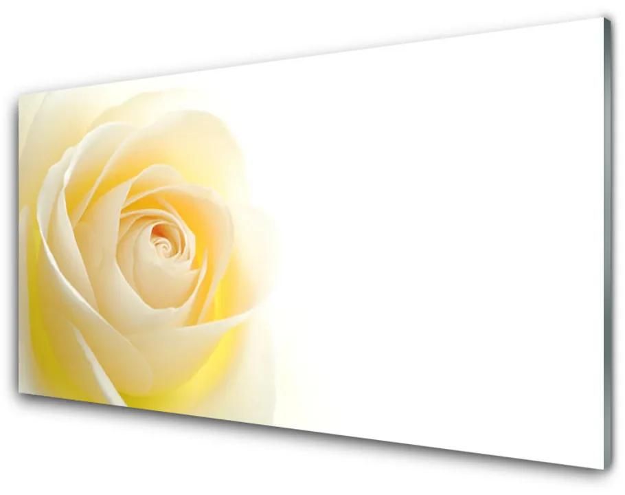 Plexiglas schilderij Rose flower plant natuur 100x50 cm