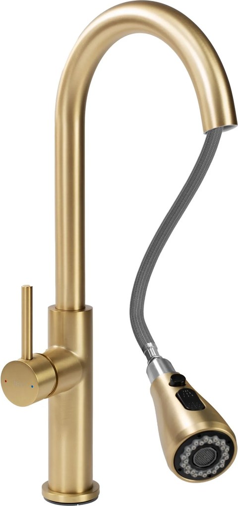 Keukenkraan Rea Nest Gold Brush