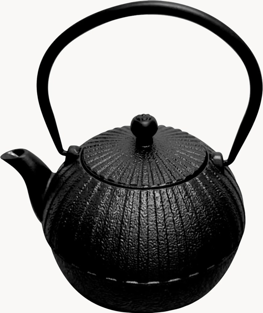 Theepot Basic van gietijzer