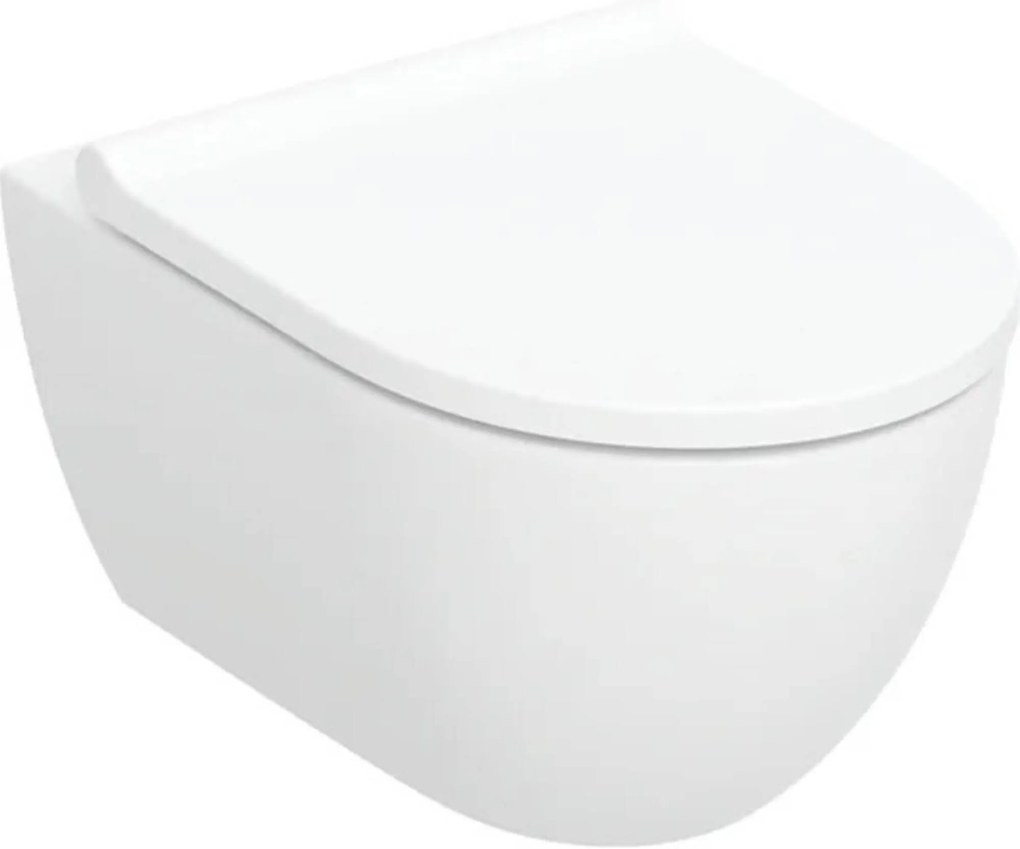 Geberit Acanto randloos hangtoilet met toiletbril wit