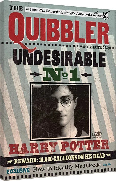 Print op canvas Harry Potter - Quibbler, (60 x 80 cm)