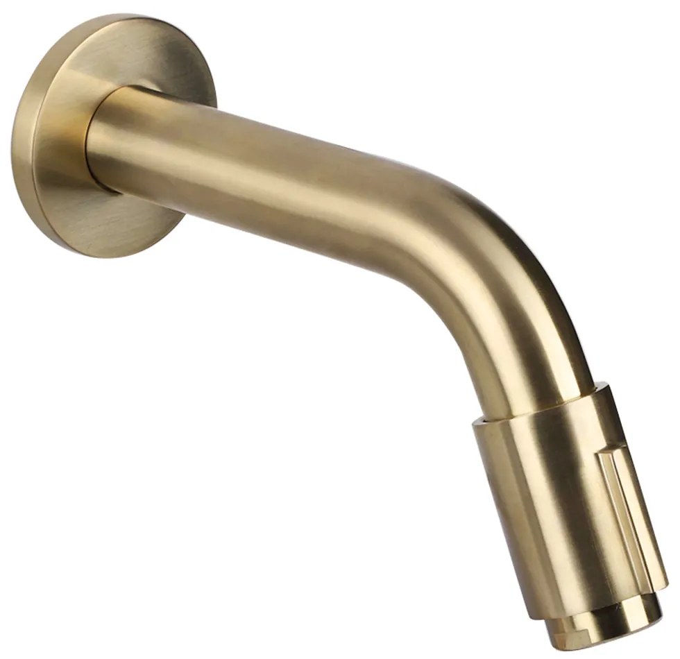 Differnz koudwater muurkraan 11cm mat goud